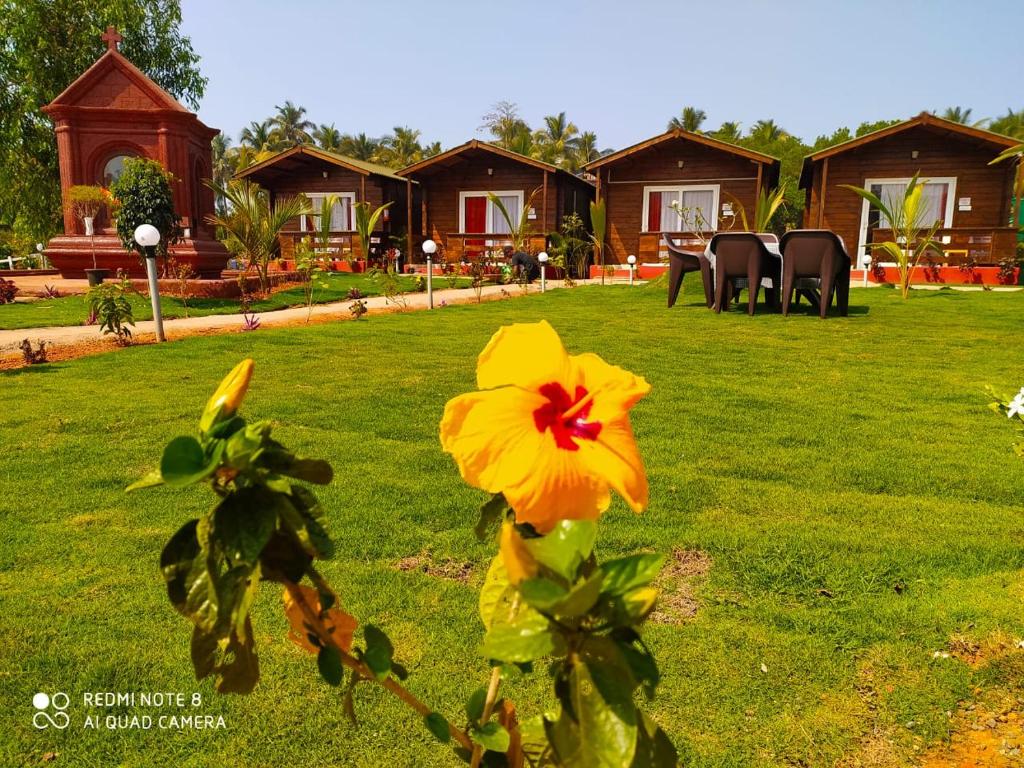 Bliss Water Resort photo 1