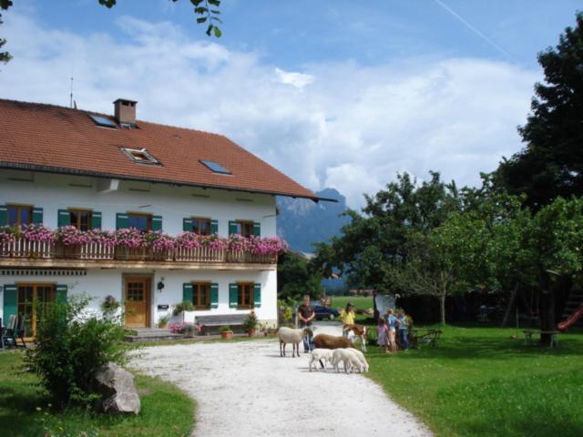 Zaissererhof photo 2
