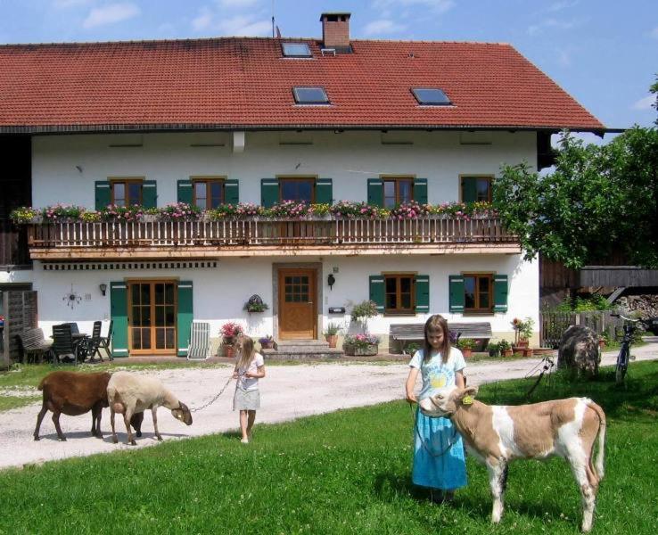 Zaissererhof photo 1