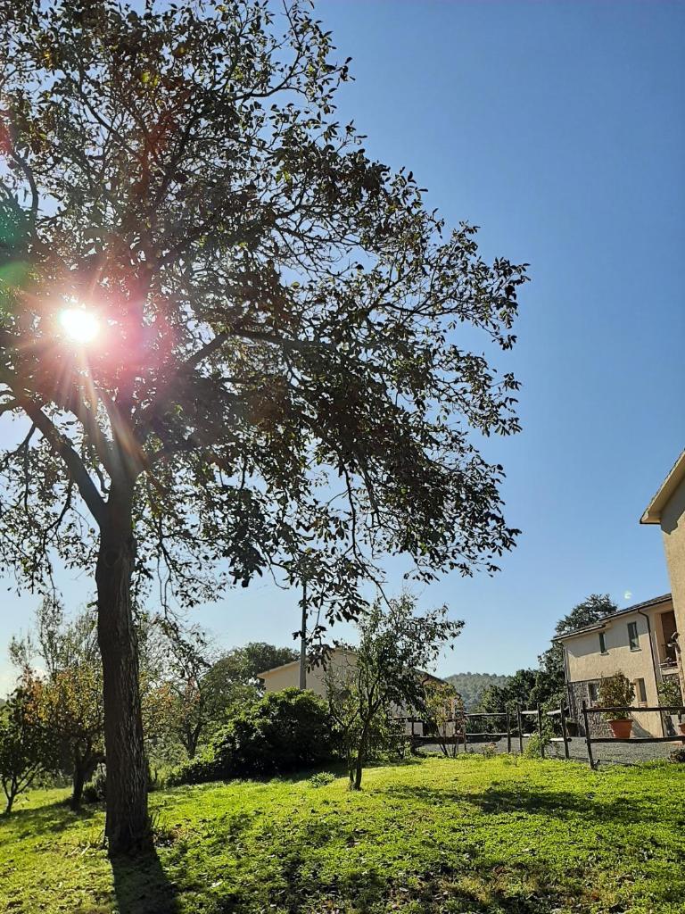 Villa A Casa di Giovanni photo 3