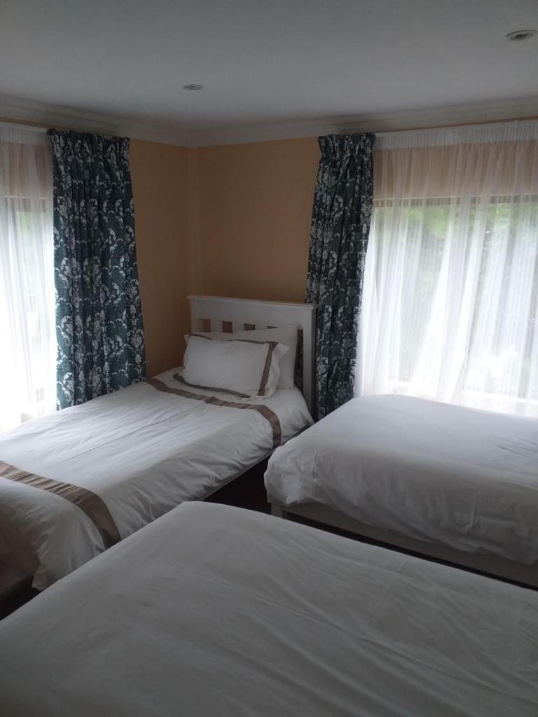 Alpine Inn photo 3