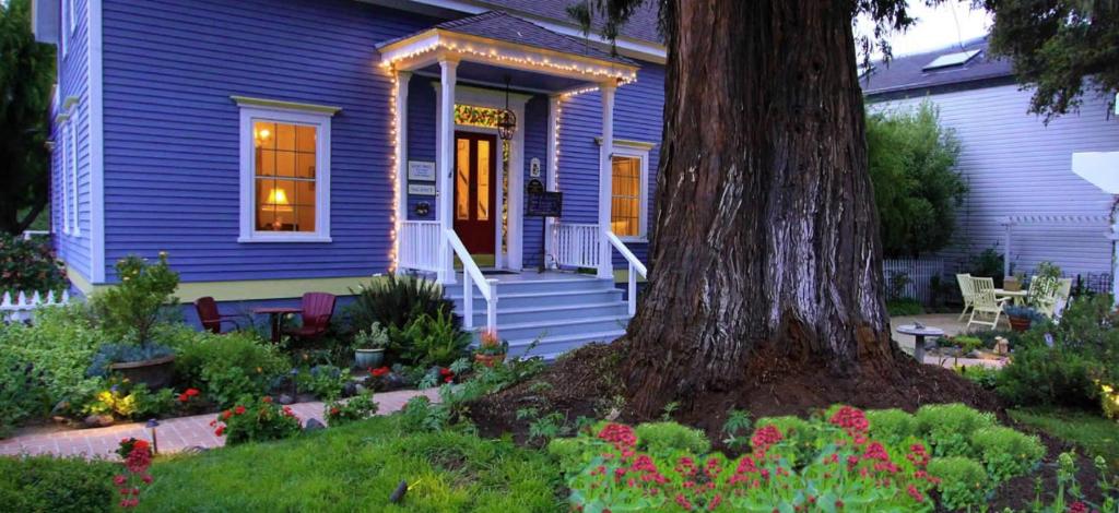 Olallieberry Inn Bed and Breakfast photo 3