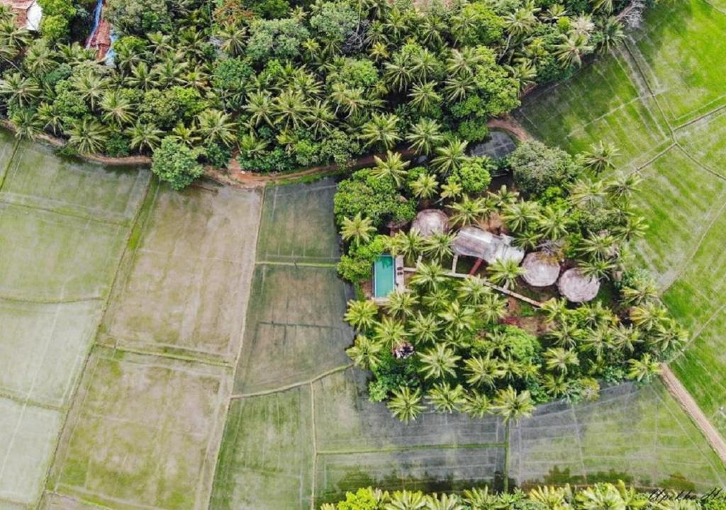 Rice Rice Villas photo 2