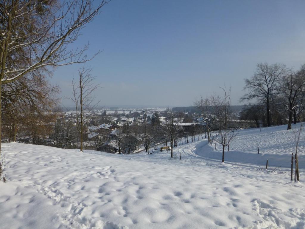 Wachingerhof photo 1