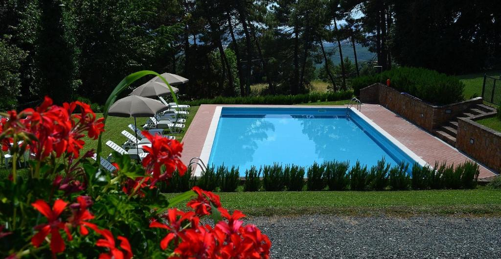 Casa Vacanze "L'Aione" photo 4
