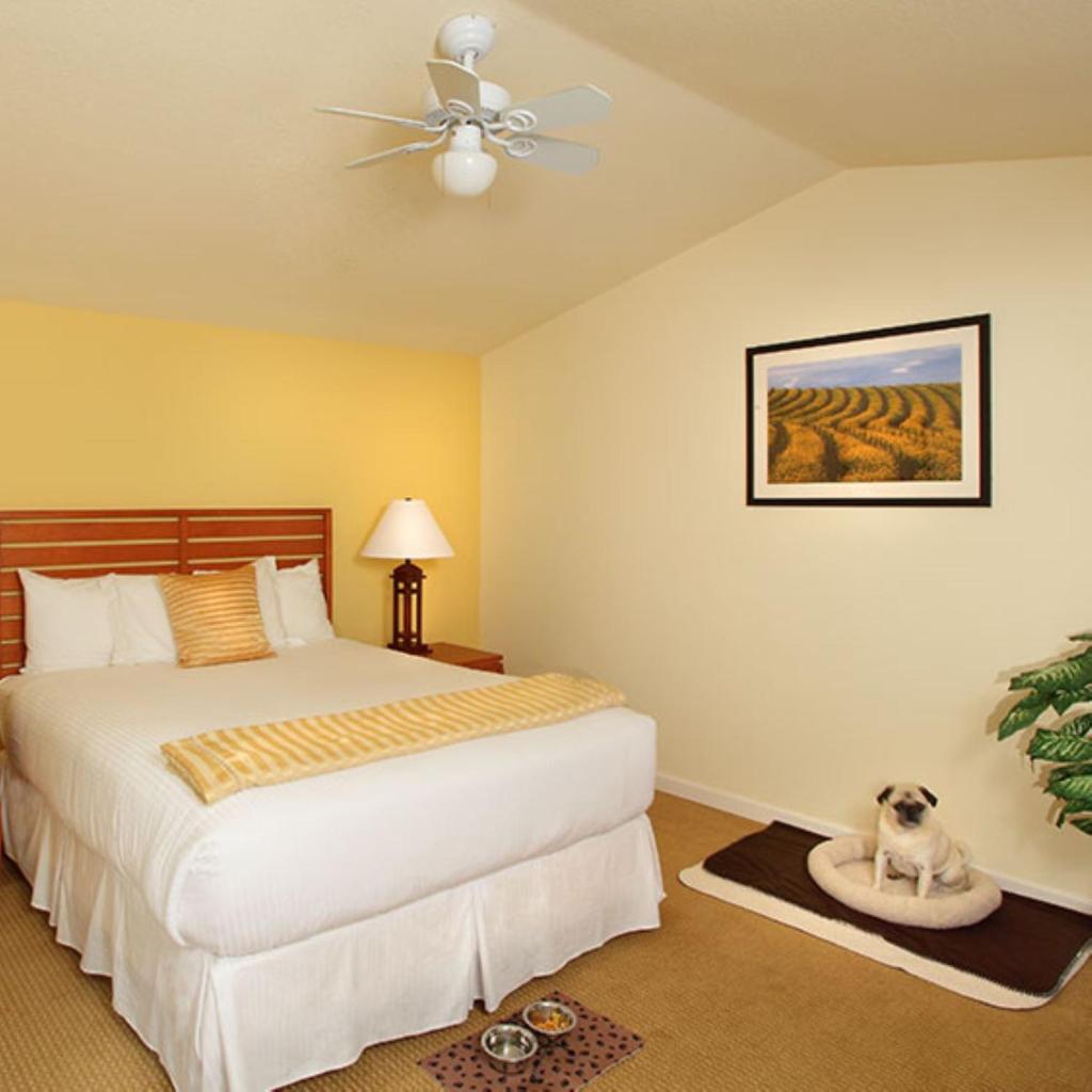 West Sonoma Inn & Spa photo 1