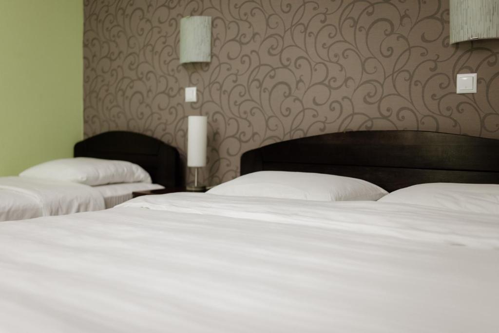 Hotel Drinska lasta photo 1