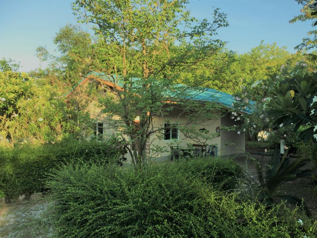 EiDI Homestay photo 2