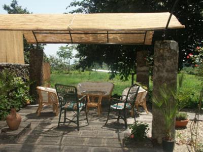 B&B Sotto i Pini photo 3