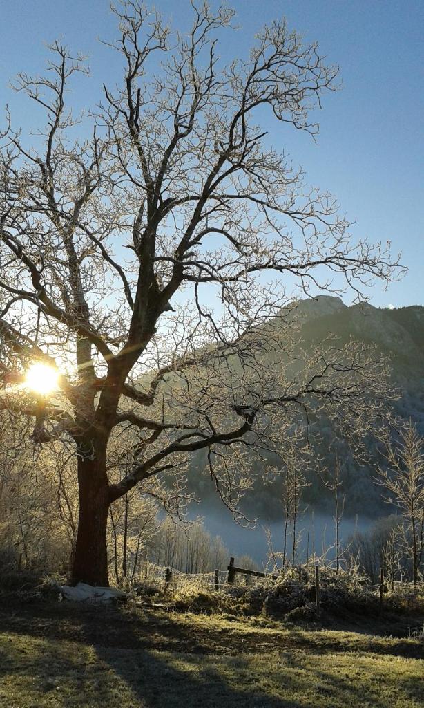 Schoberhof