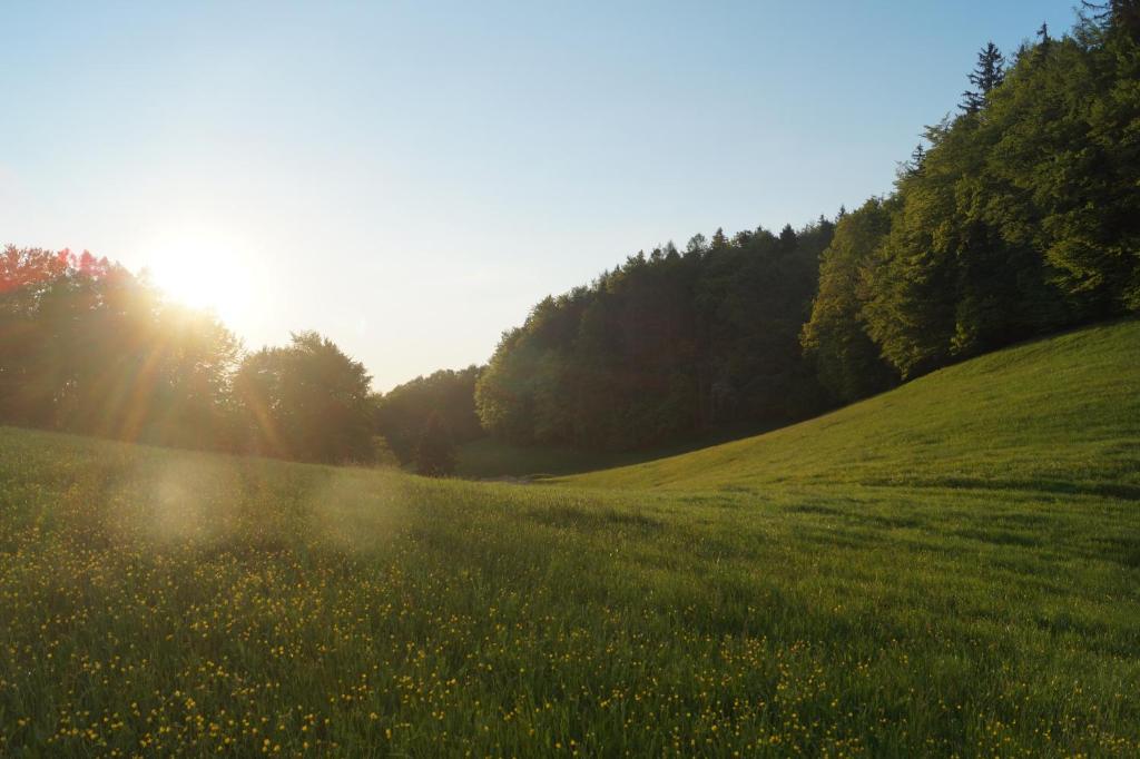 Schoberhof photo 4