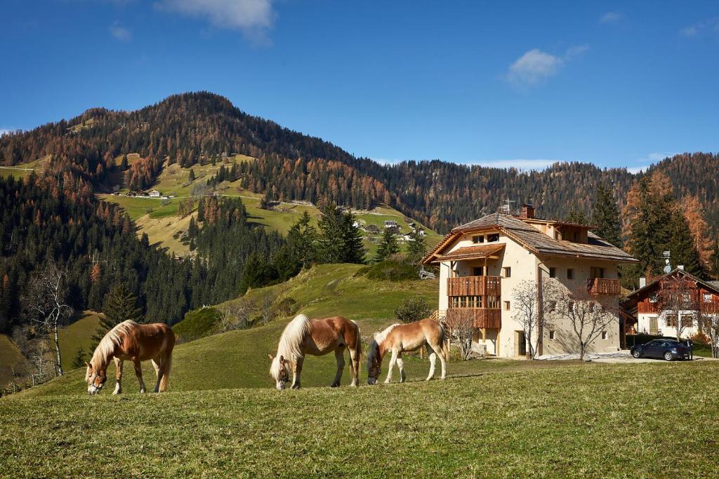 Sotciastel Antico Chalet photo 2