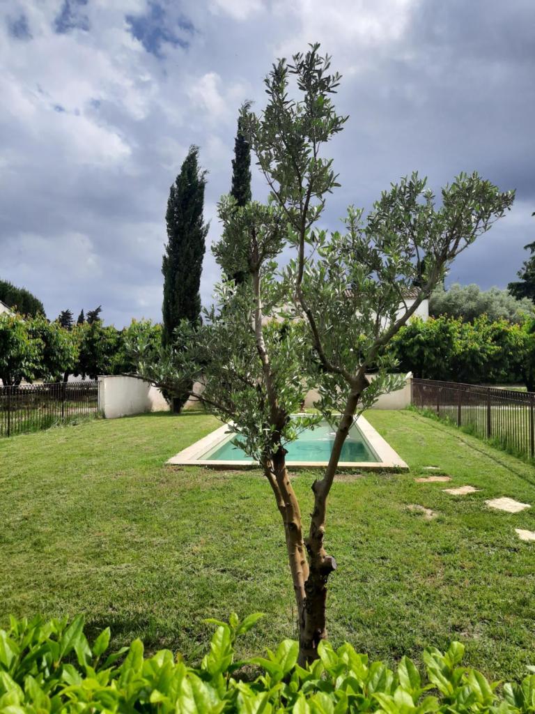 La Villa l Orangerie photo 3