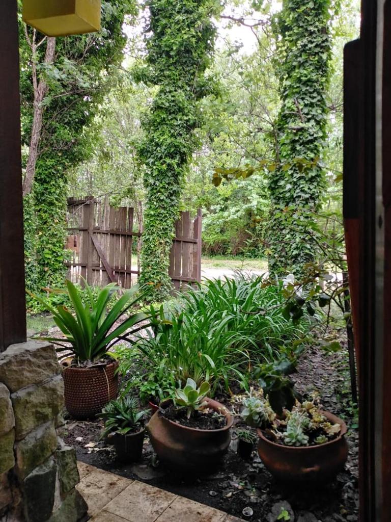 La casa de Caro photo 3