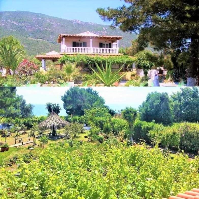 TETRAKTYS ESTATE ( ΑΗΡ ) photo 2