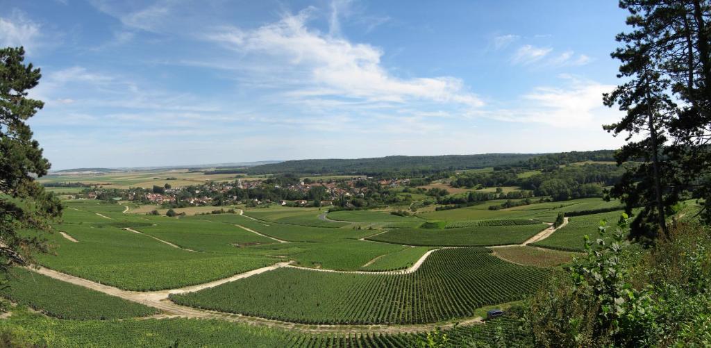 Domaine des Grattières photo 1