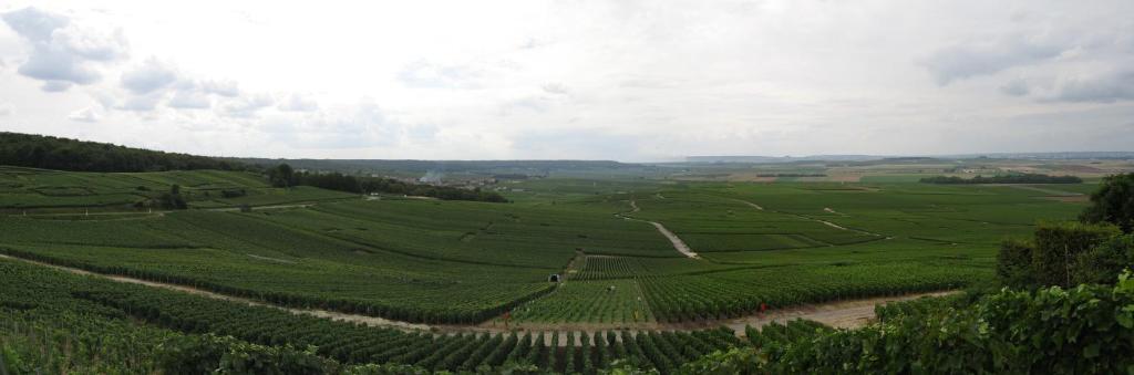 Domaine des Grattières photo 2