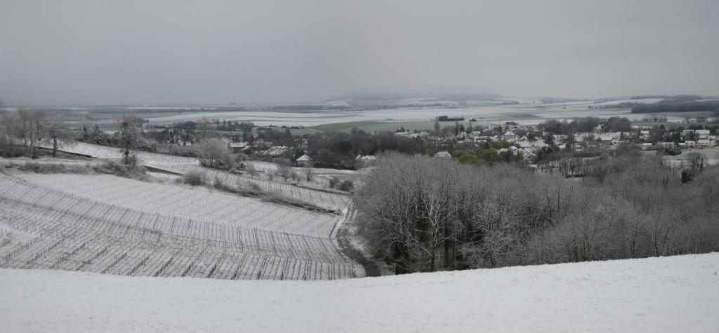 Domaine des Grattières photo 4