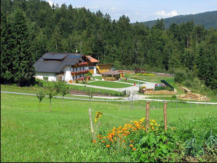 Haus-Spannbauer-Wohnung-Fuchsenstein photo 4