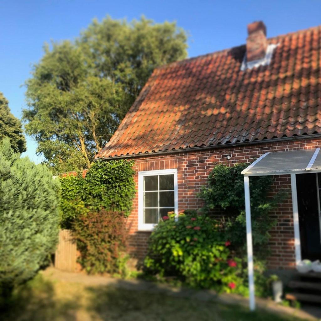 Schoenes-Ferienhaus-mit-Garten-Mid-Century-Moebeln-in-Strand-naehe-Avendorf photo 2