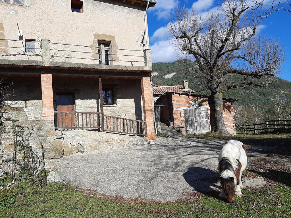Casa Rural Más Pujol photo 4