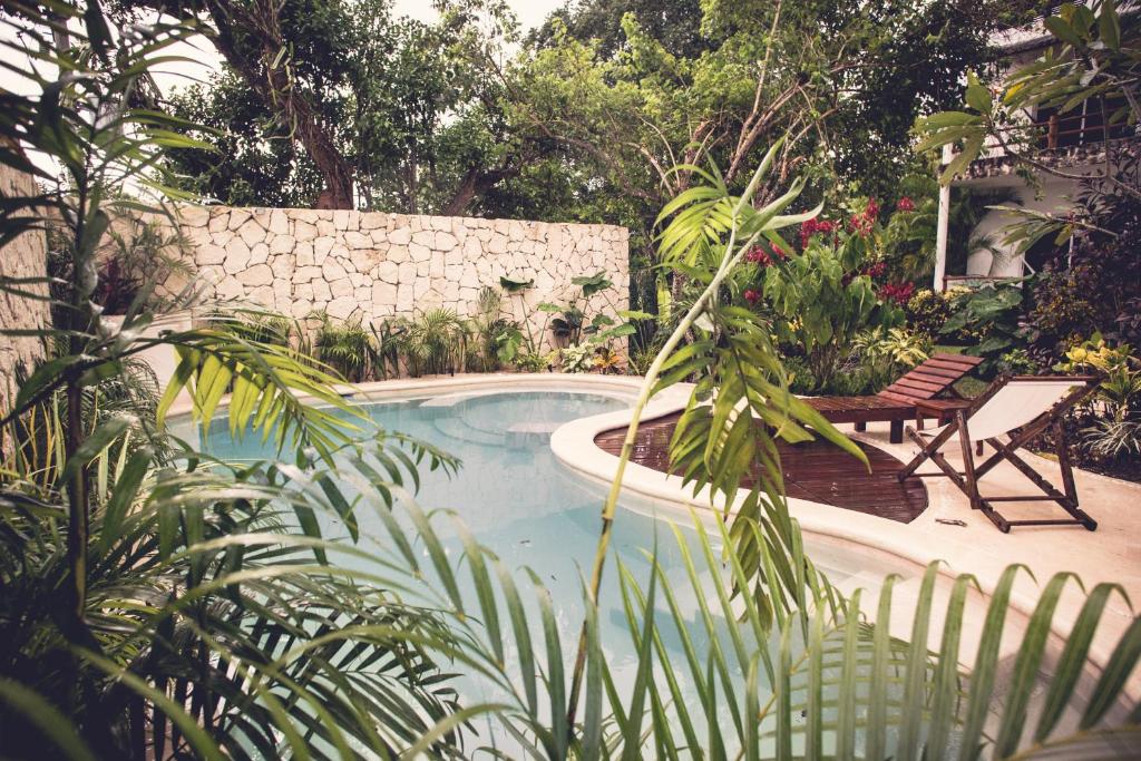 Hotel Aires Bacalar photo 3