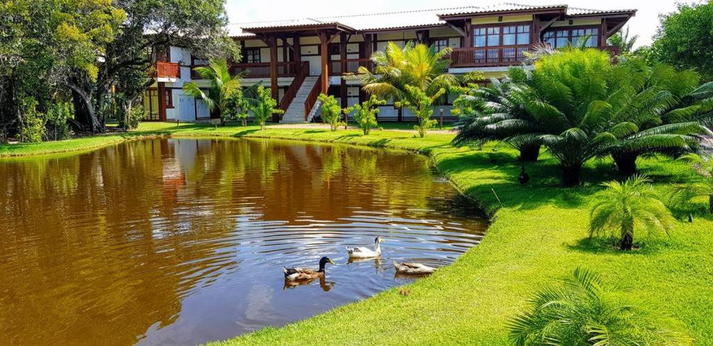"Simplesmente um Paraíso" photo 4