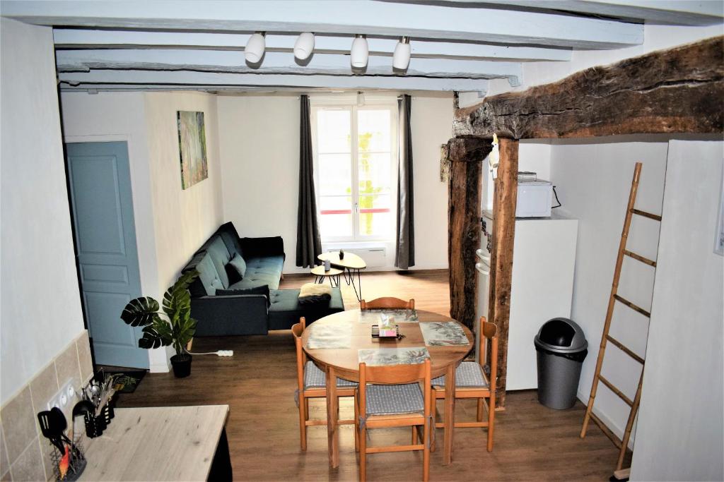 Gite Le Nid des Zoo Zio, 5mn Beauval, appartement terrasse centre-ville photo 1