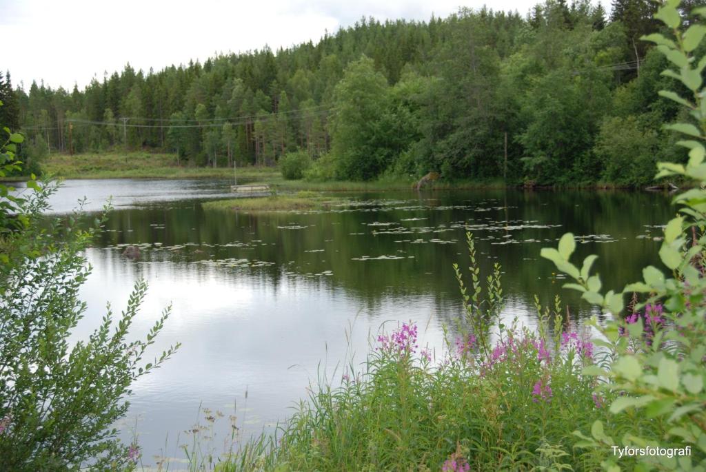 Tyforsgården photo 4