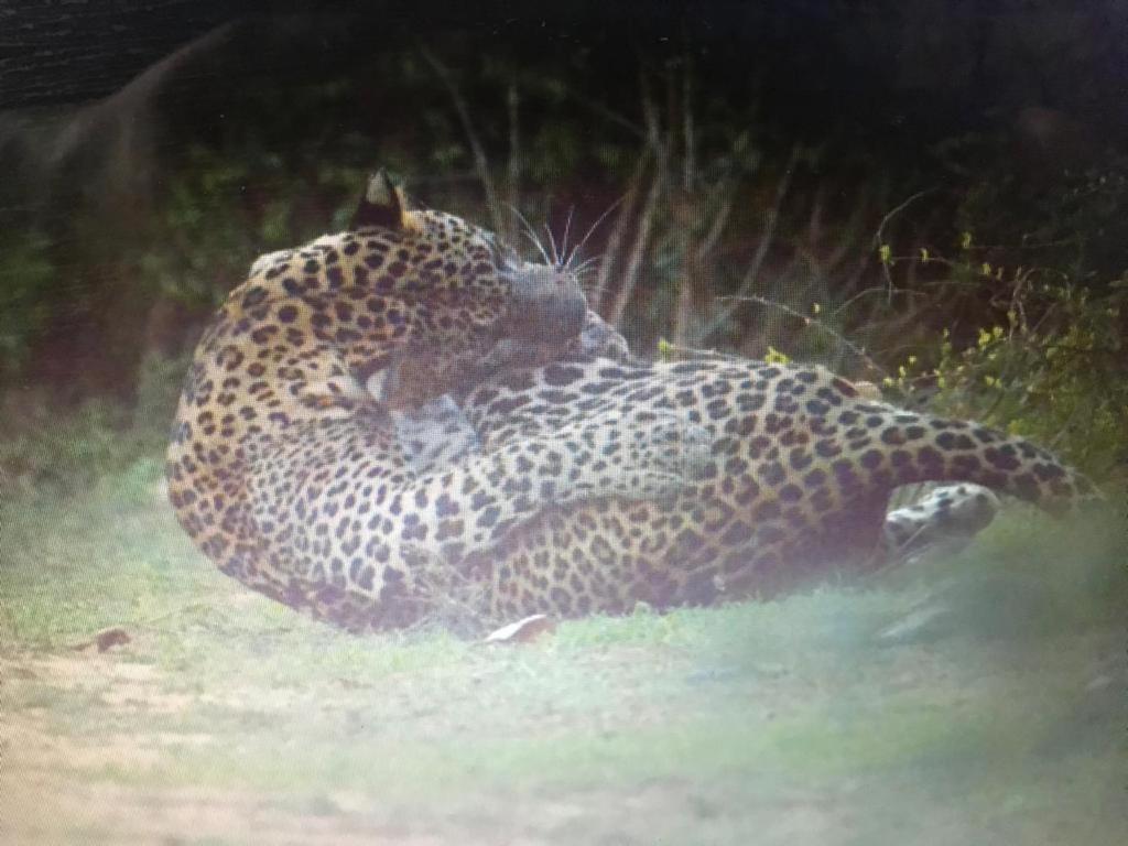 Jayasinghe Holiday Resort photo 2