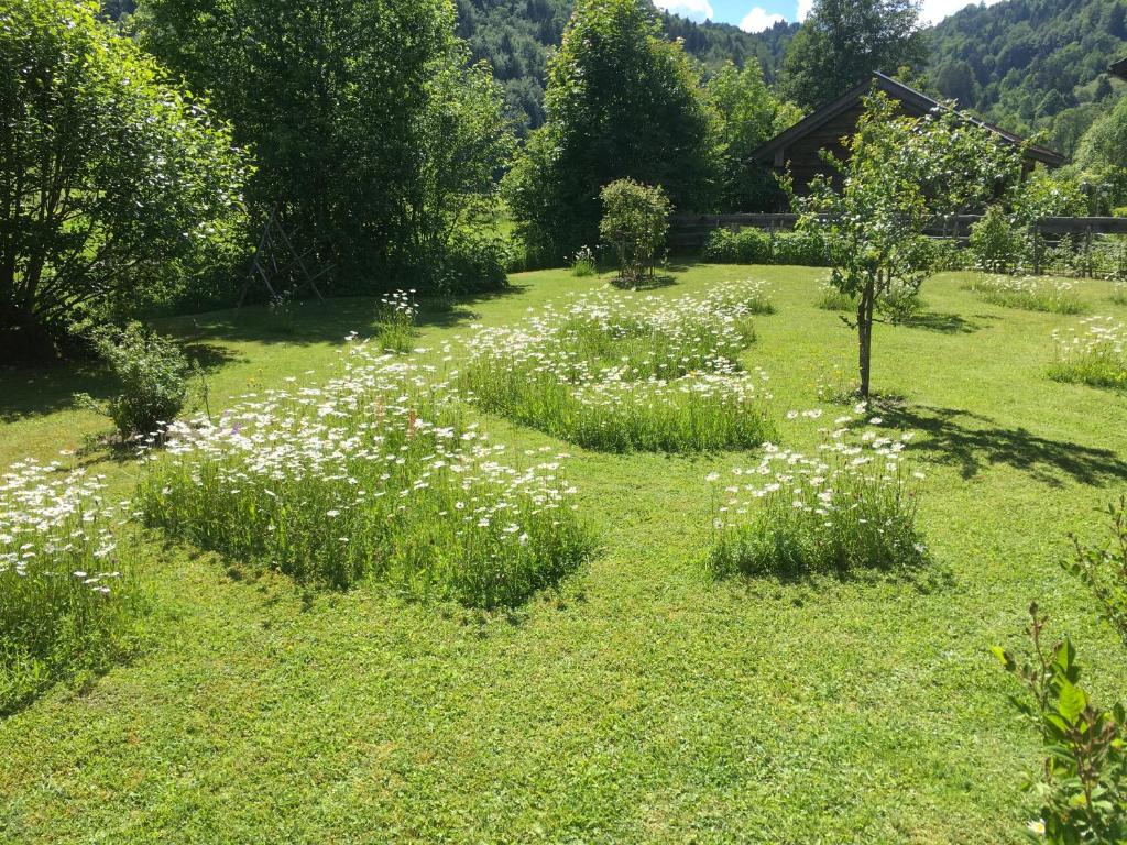 Am Schlierbach photo 2