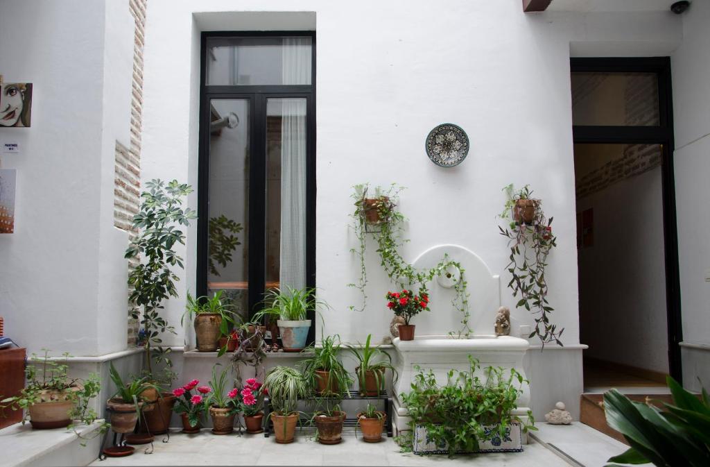 El Granado Hostel photo 4