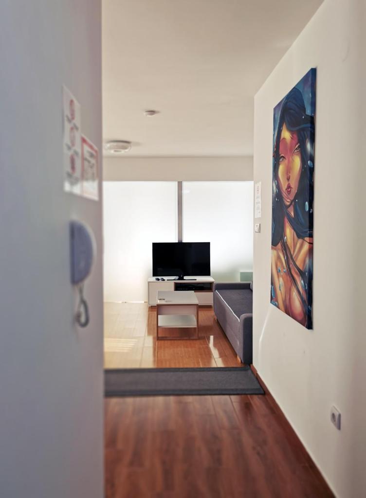Lux Studio Apartment Vidanovic photo 3