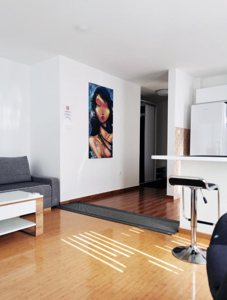 Lux Studio Apartment Vidanovic photo 4
