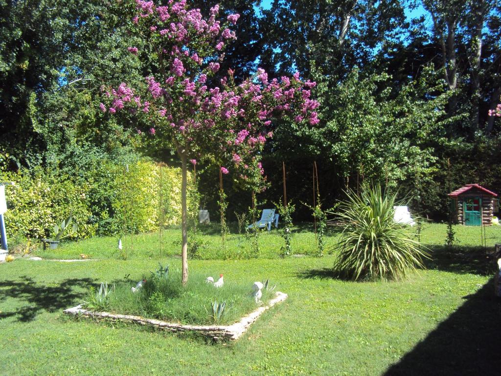 Maison d'Hôtes La Douloire photo 3