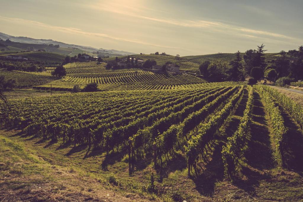 Agriturismo Ma Che Bel Castello photo 4