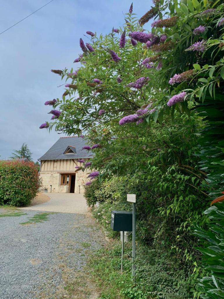 Le Logis de la Chouette photo 1