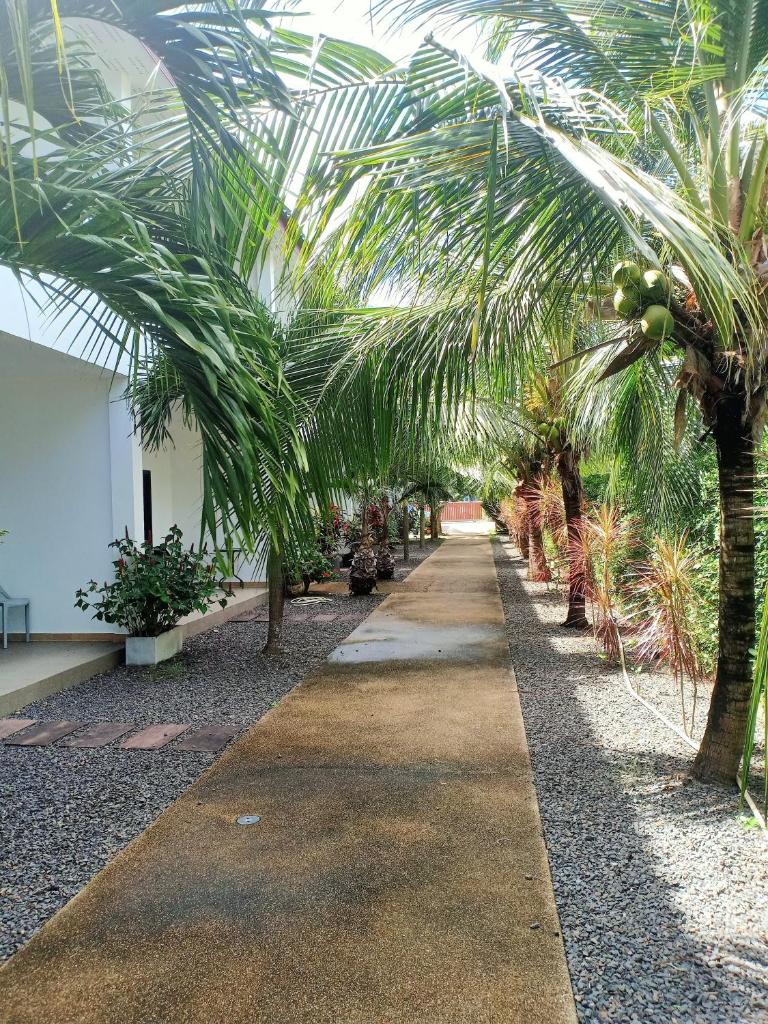 Coconoi Residence photo 1