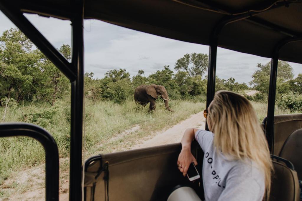 Nkambeni Safari Camp photo 1