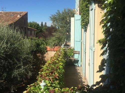 Le Jardin d'Homps photo 2