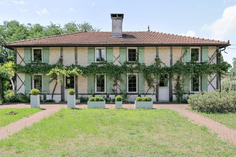 La résiniere de pirique photo 2