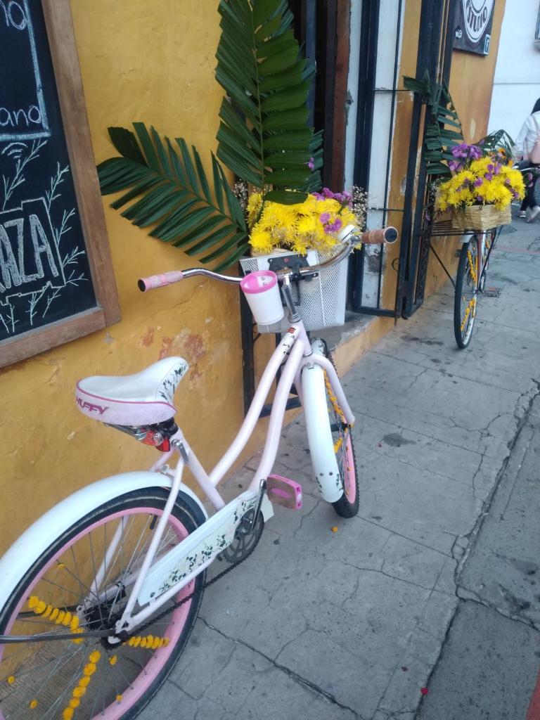 Casa Landivar Hotel photo 3