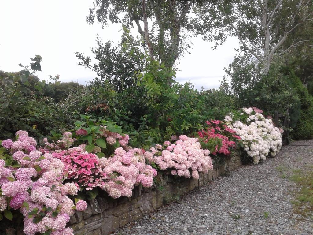 Devenish Lodge B&B photo 2