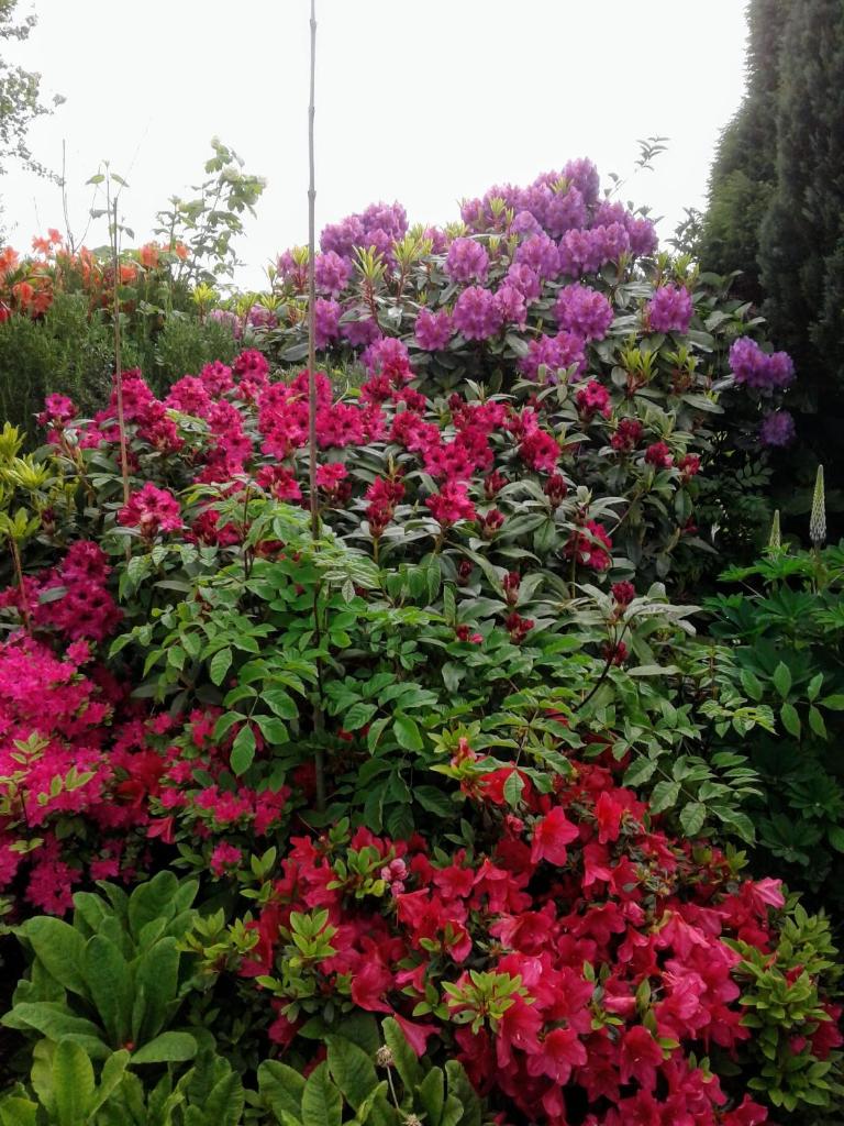Devenish Lodge B&B photo 3