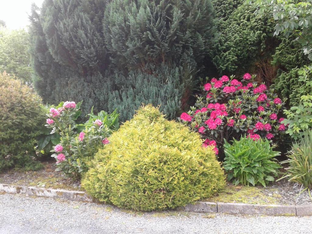 Devenish Lodge B&B photo 4