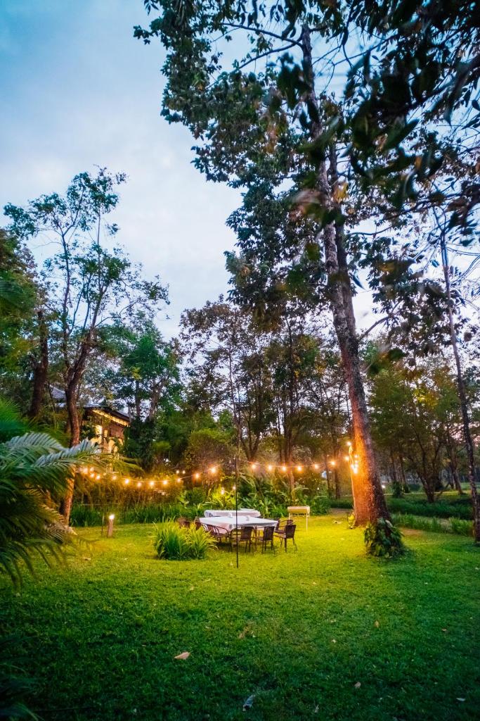 The River Resort photo 3