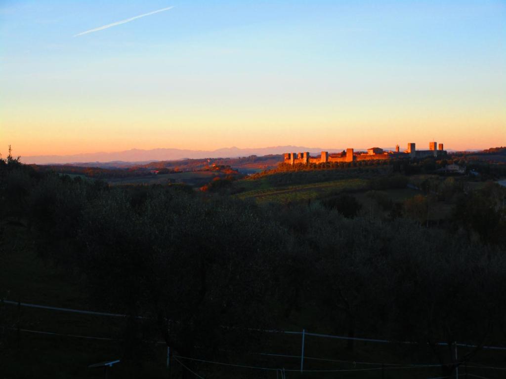 Il Mandorlo di Monteriggioni photo 1
