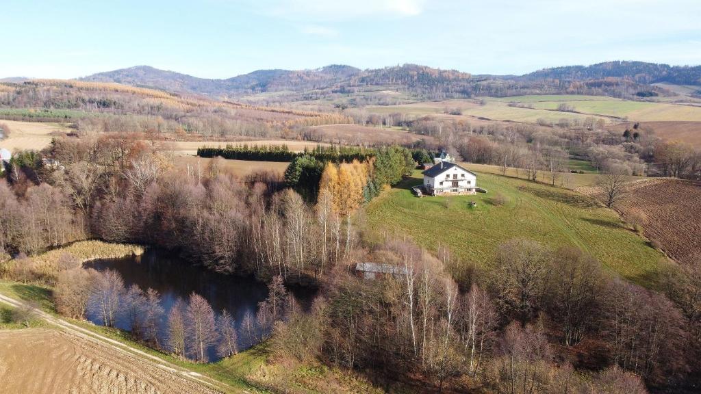 LA COLLINE photo 3