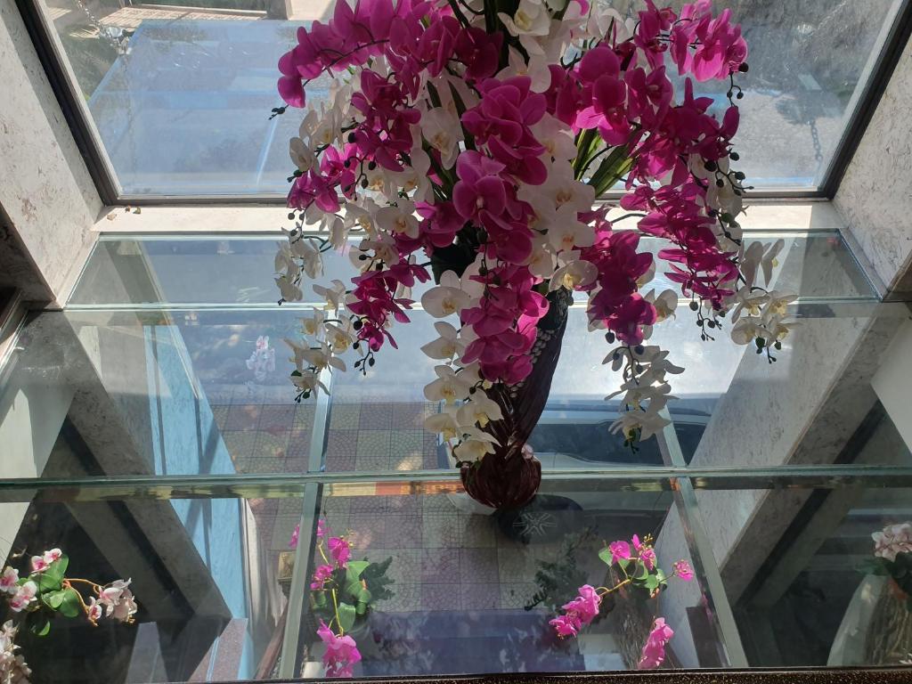 Cat Ba Thailand Hotel