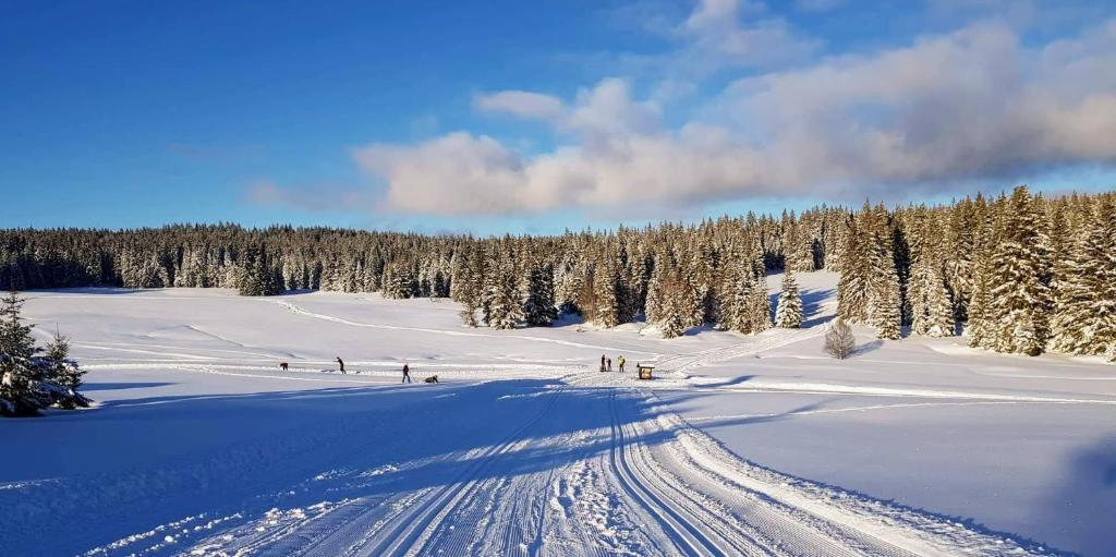 Horská Kvilda - Ubytování U Chvalů photo 2